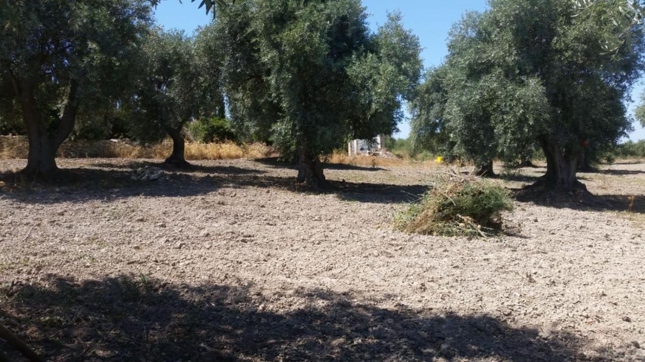 Serra Niedda Resort & Agriturismo ソルソ エクステリア 写真