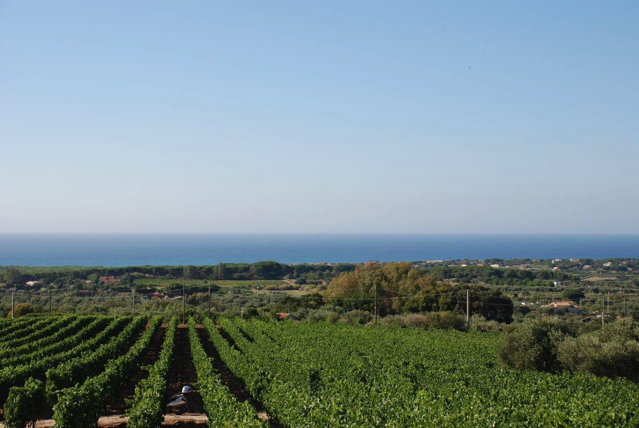 Serra Niedda Resort & Agriturismo ソルソ エクステリア 写真
