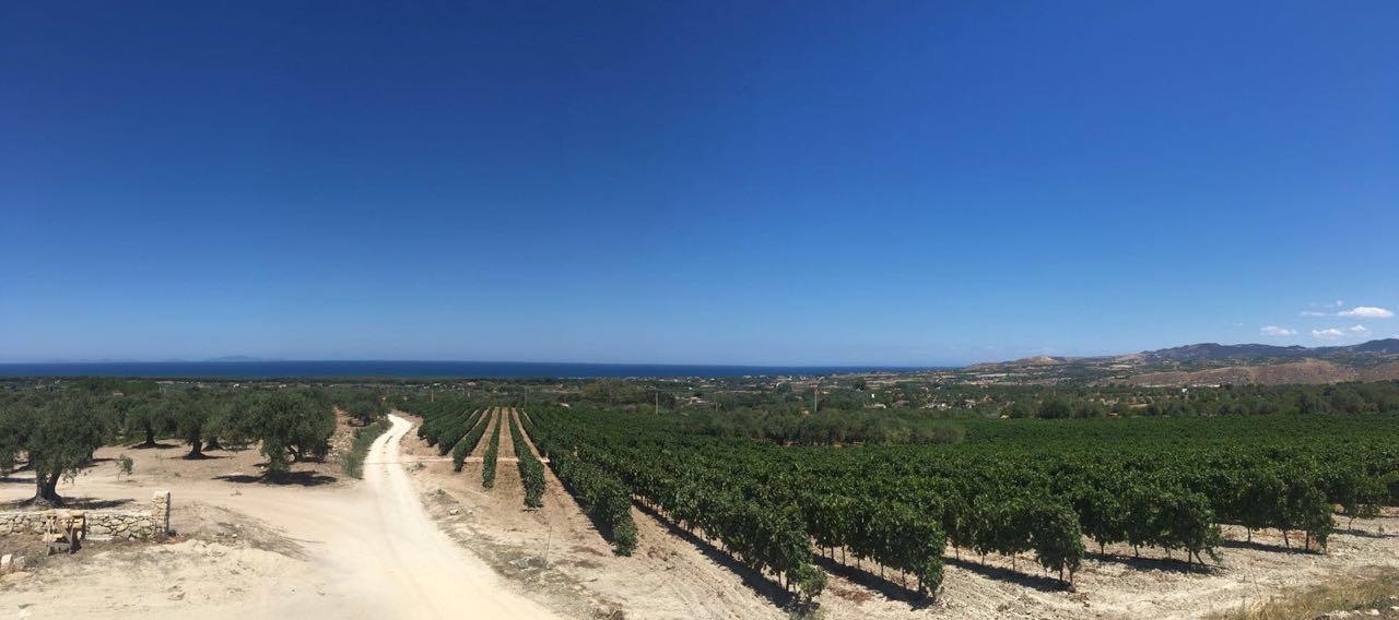 Serra Niedda Resort & Agriturismo ソルソ エクステリア 写真