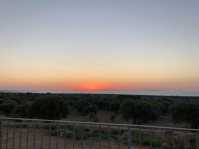Serra Niedda Resort & Agriturismo ソルソ エクステリア 写真